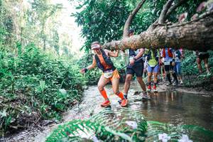 BIB: 
                            <button type="button" onclick="openModal(25464956)" class="btn btn-primary btn-sm float-right btn-popup" data-toggle="modal" data-target=".modal-high-quality">
                        <i class="fas fa-shopping-cart"></i> Add to Cart
                    </button>
                                            <button type="button" onclick="isThisMe(25464956, true)" class="btn btn-success btn-sm float-right btn-popup btn-isme hidden" data-toggle="tooltip" data-placement="bottom" title="นี่คือรูปของคุณใช่ไหม คลิกที่นี่เพื่อเอาเข้าอัลบั้ม">
                        <i class="fas fa-plus"></i> Add to album
                    </button>
                    <button type="button" onclick="isThisMe(25464956, false)" class="btn btn-warning btn-sm float-right btn-popup btn-isnotme hidden">
                        <i class="fas fa-ban"></i> Remove from album
                    </button>